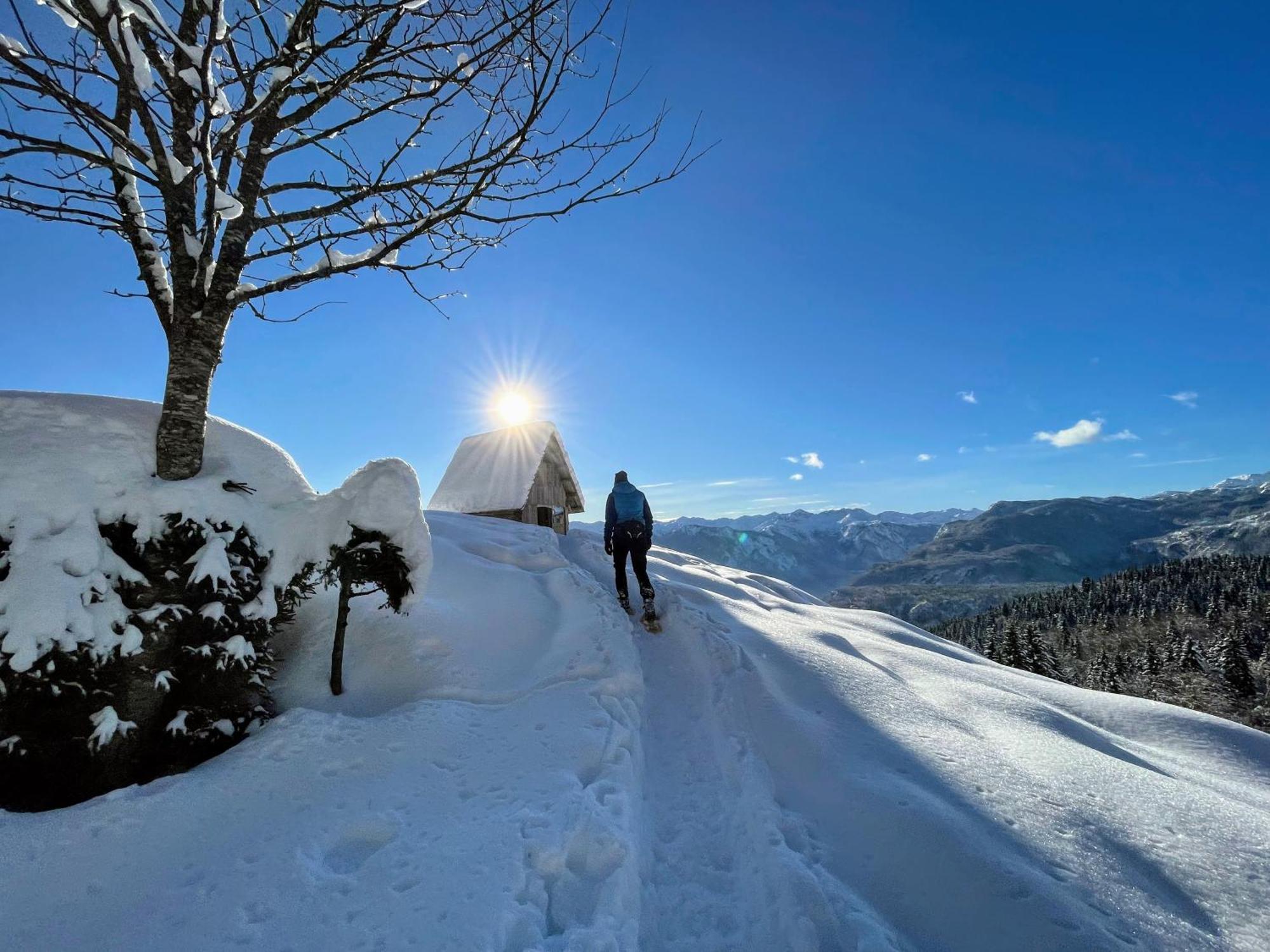 Chalet Hike&Bike Above Bohinj Valley Bagian luar foto